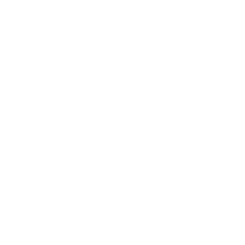 CCST Logo
